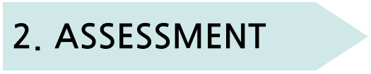 ASSESSMENT